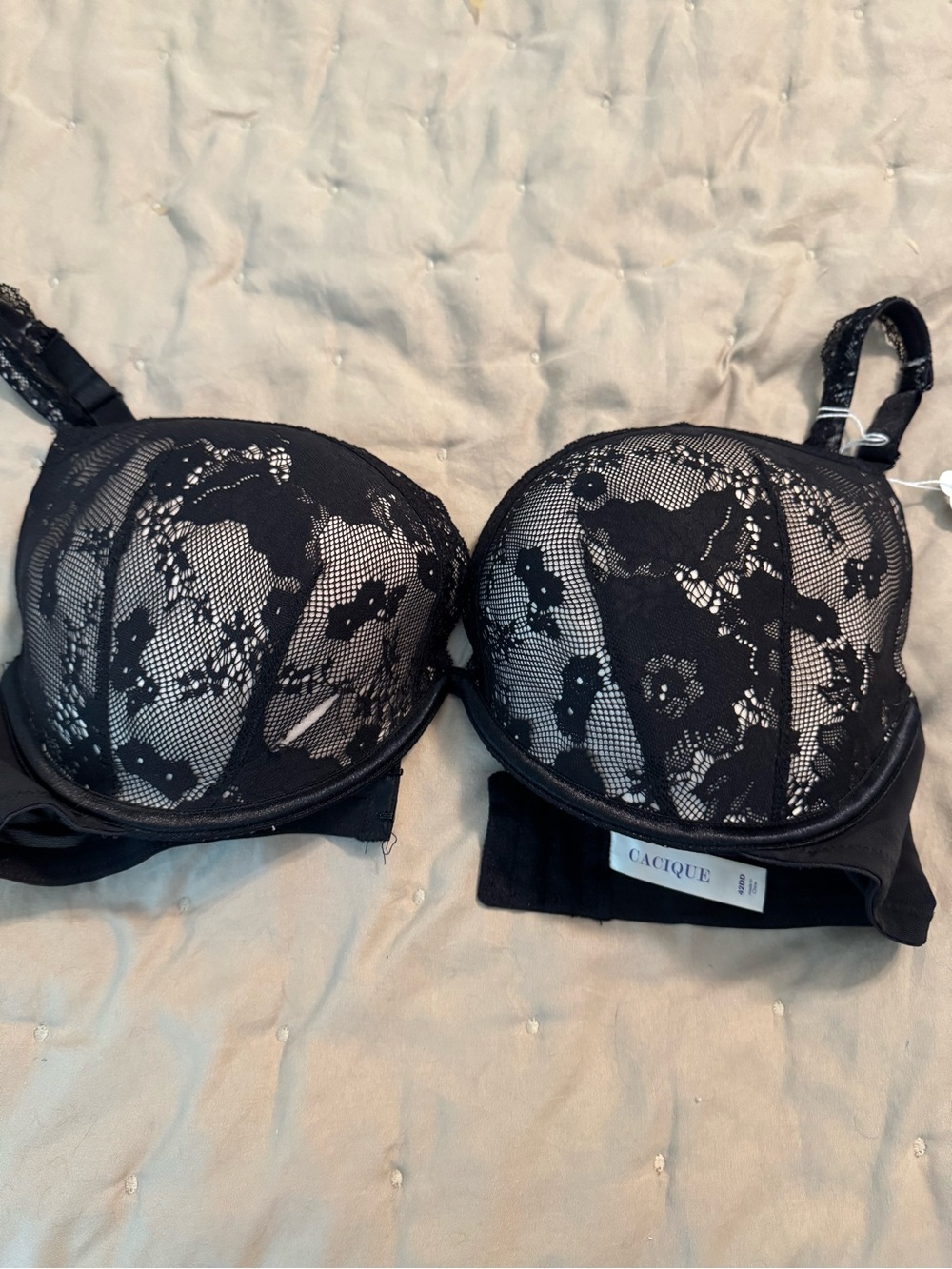 Cacique Black Lace Underwire Bra with Floral Overlay